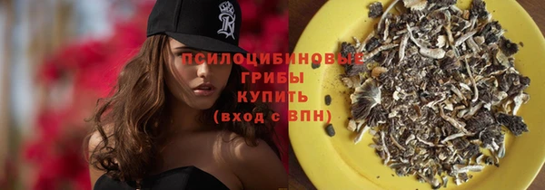 таблы Пересвет