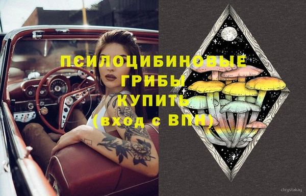 спайс Пестово