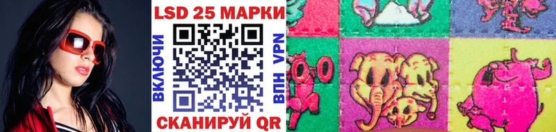 Марки 25I-NBOMe 1,5мг KRAKEN как войти Красный Кут