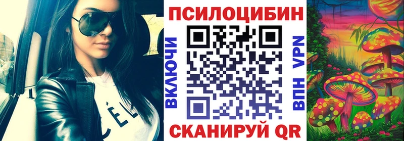 МЕГА ТОР  Красный Кут  Псилоцибиновые грибы Psilocybe  купить  цена 